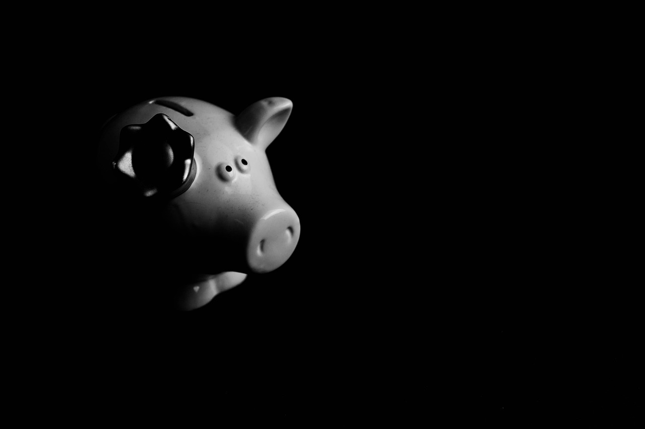 piggy bank, pig, save